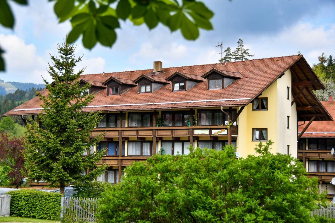 Appartements Zum Arber بايريش أيزنشتاين المظهر الخارجي الصورة